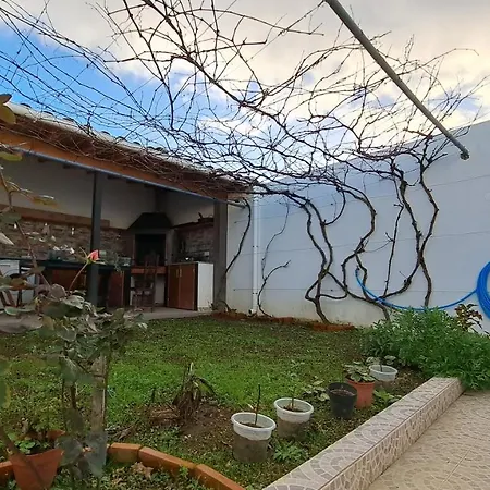 Hamilton House Vila Franca do Campo