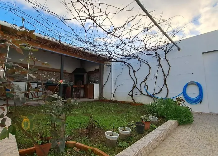 Hamilton House Vila Franca do Campo